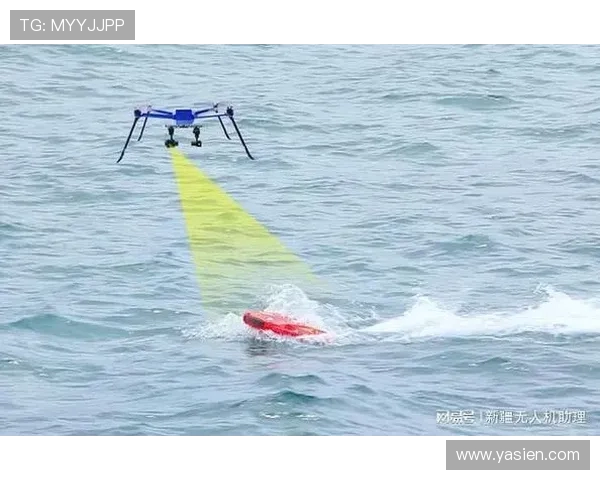 无人机在海洋监测中的长航时技术